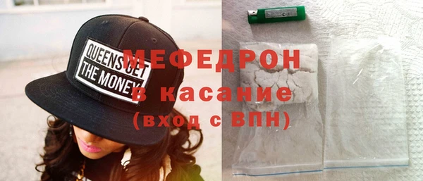 сатива Ельня