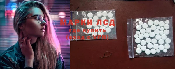 сатива Ельня