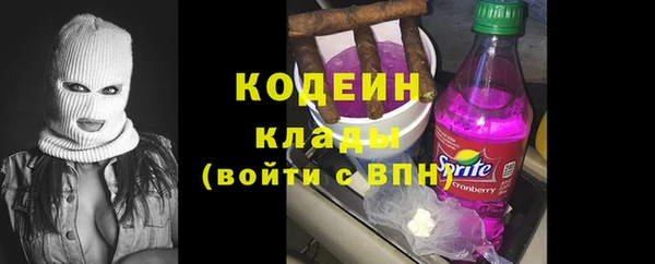 сатива Ельня