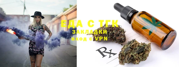 сатива Ельня