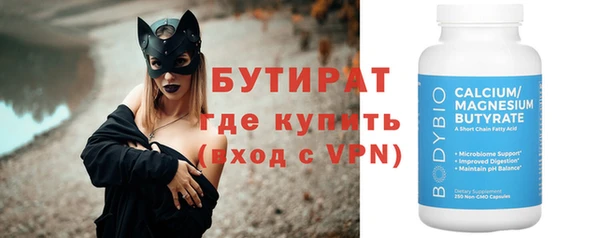 сатива Ельня