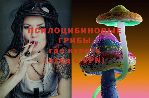 молекула духа Заволжье