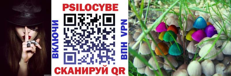 Купить закладки  Оса  Галлюциногенные грибы мицелий 